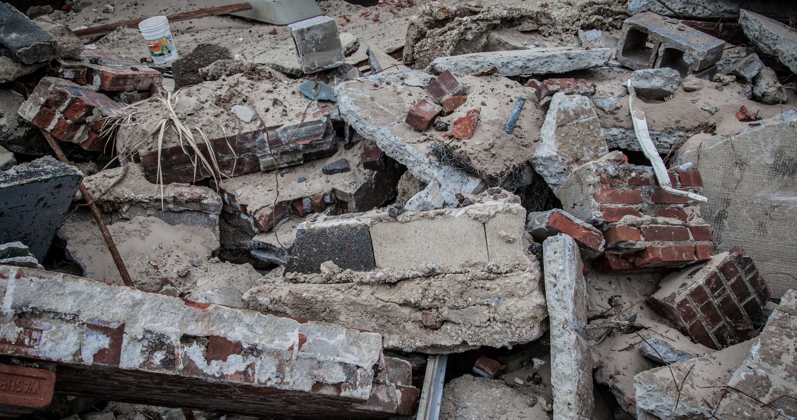 art-of-sandy-mo-seagate 2-11.jpg